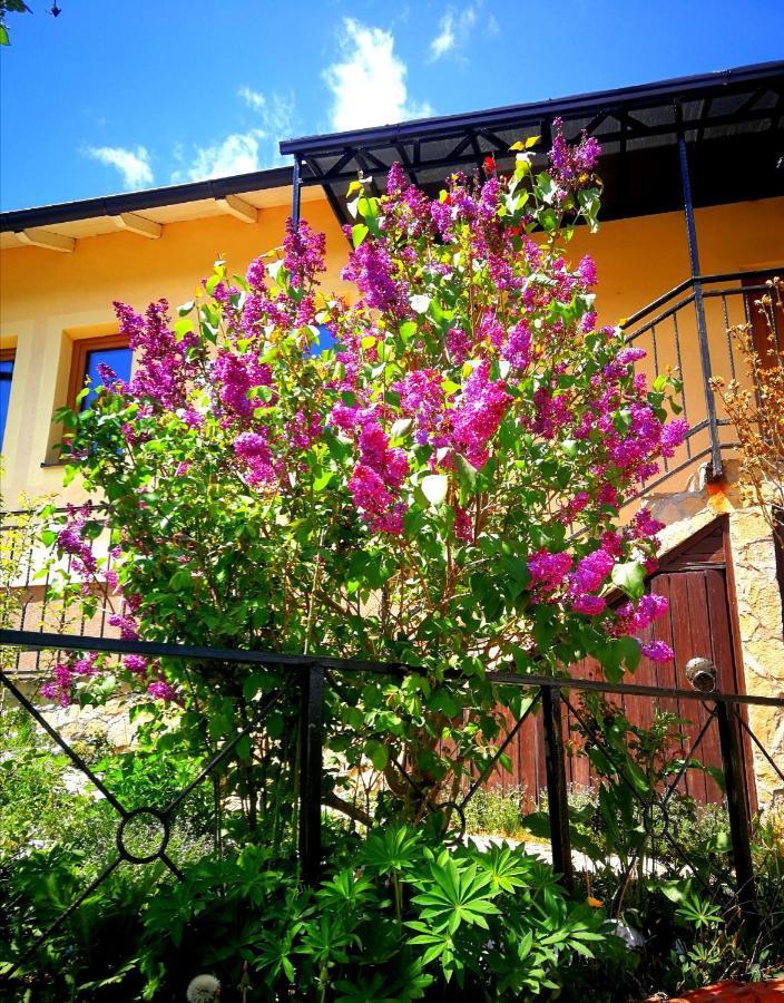 Paradise garden SJJ Exterior foto