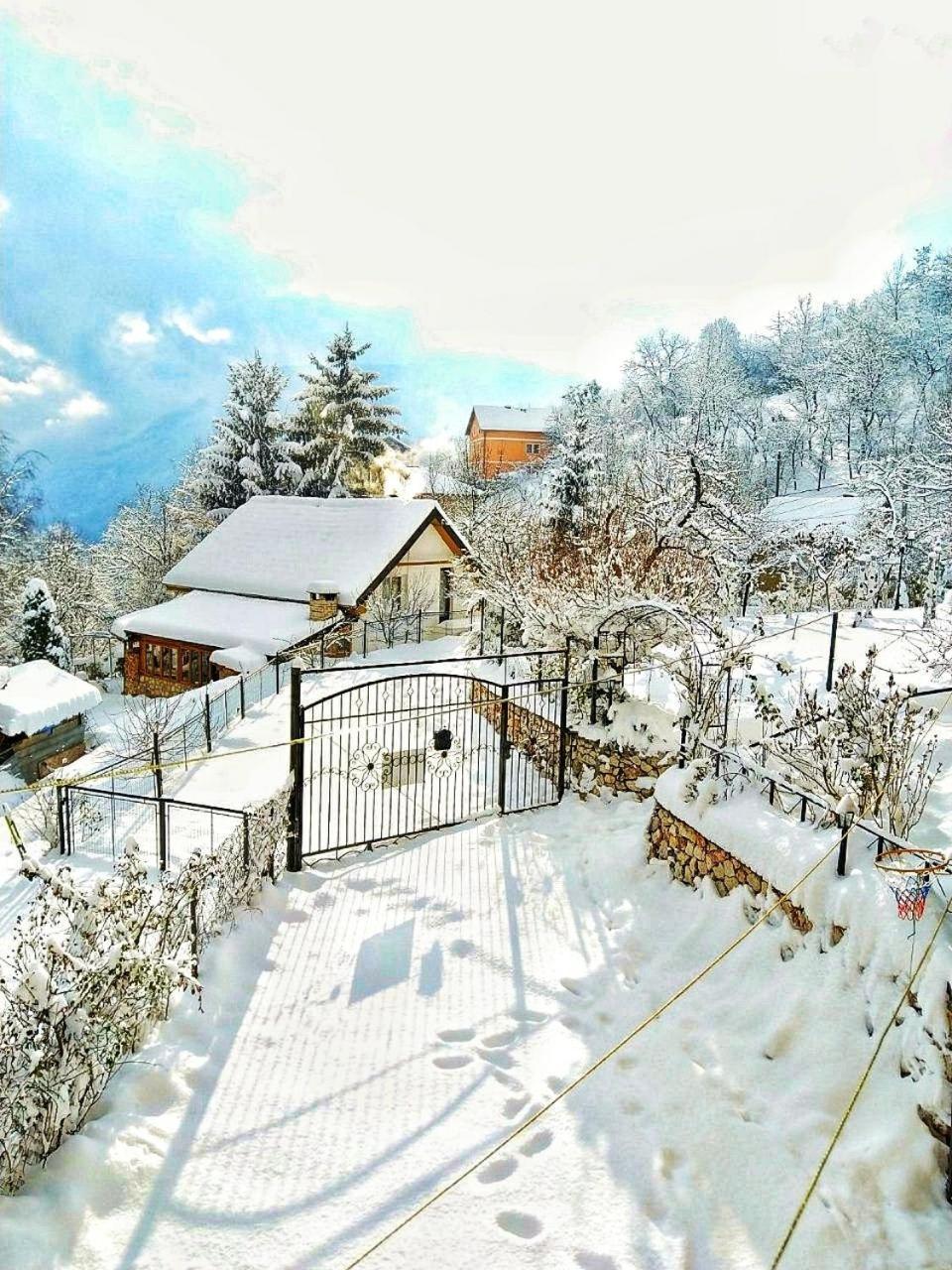 Paradise garden SJJ Exterior foto